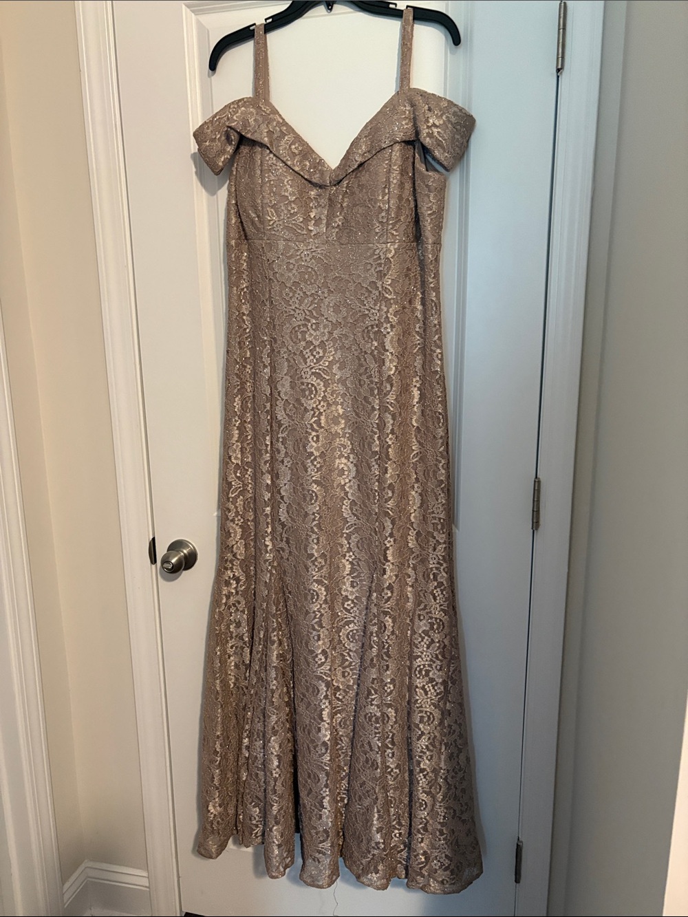 Off-Shoulder Lace Evening Gown in Champagne